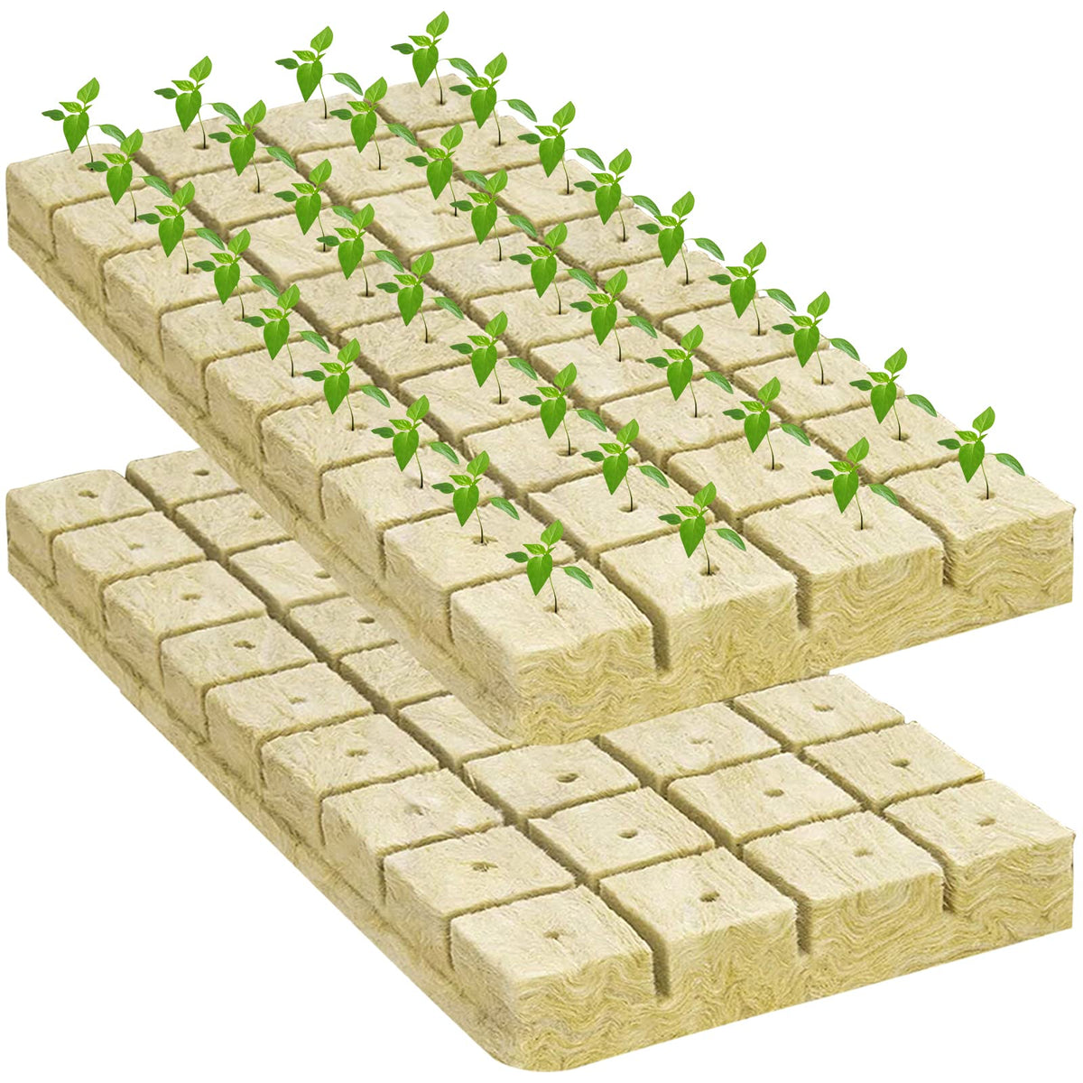 Legigo hydroponic vertical garden setup shows versatile use.