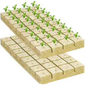 Legigo hydroponic vertical garden setup shows versatile use.