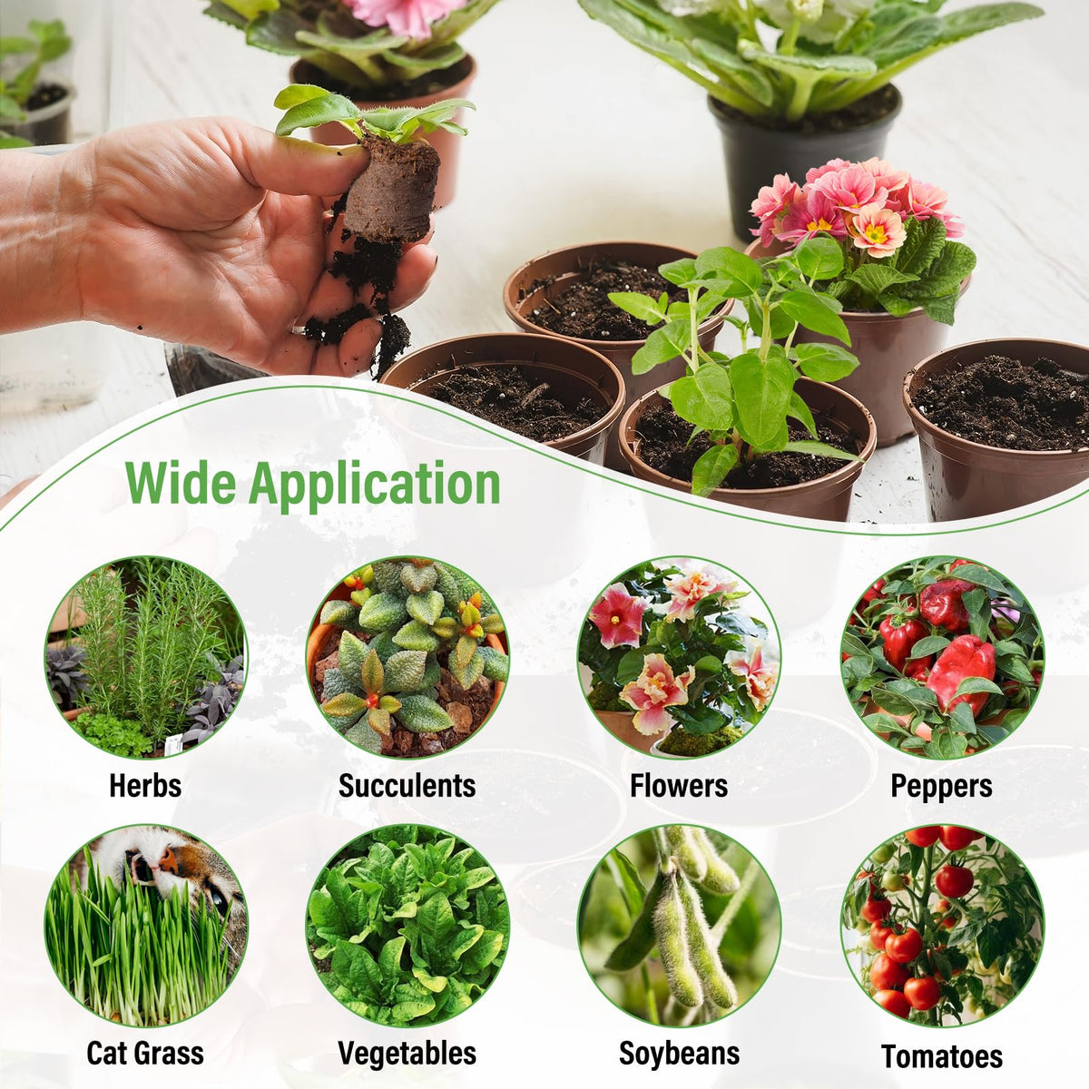 Legigo suitable for hydroponics and seed germination in greenhouses