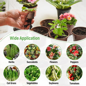 Legigo suitable for hydroponics and seed germination in greenhouses