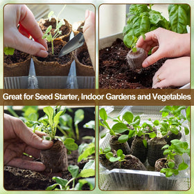 Legigo indoor gardening with kids for easy seed starting