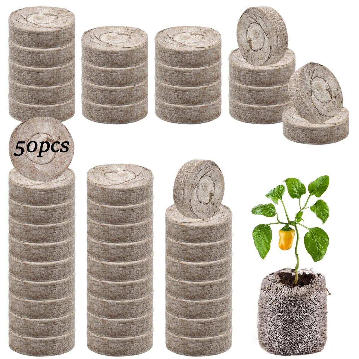 Legigo indoor outdoor seed start with pellets for vegetables and herbs.