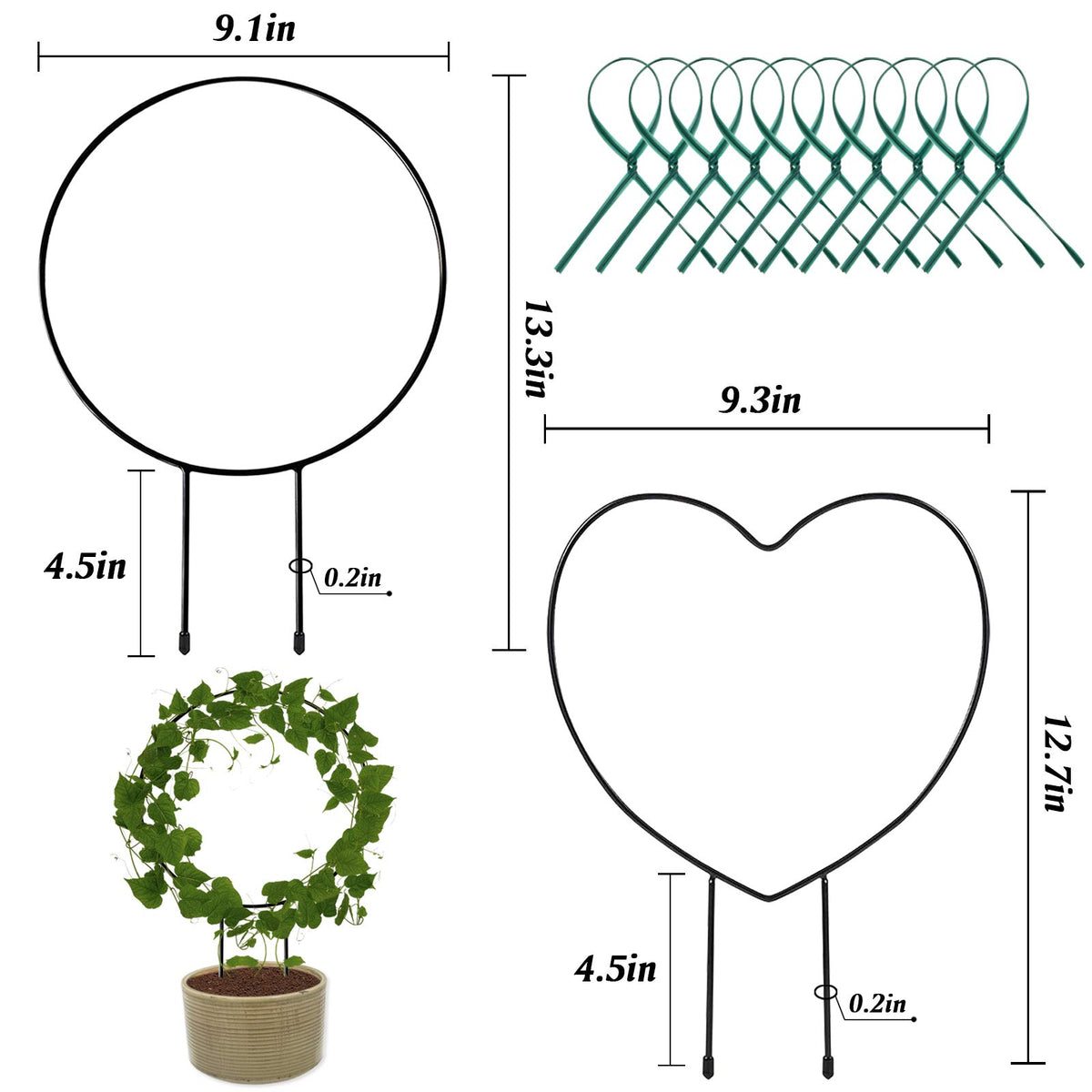 Legigo iron vine support with twist ties keeps training plants neat and organized.