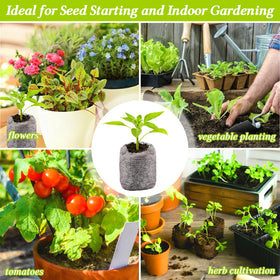 Legigo seed starter system maintains moisture while enabling drainage.