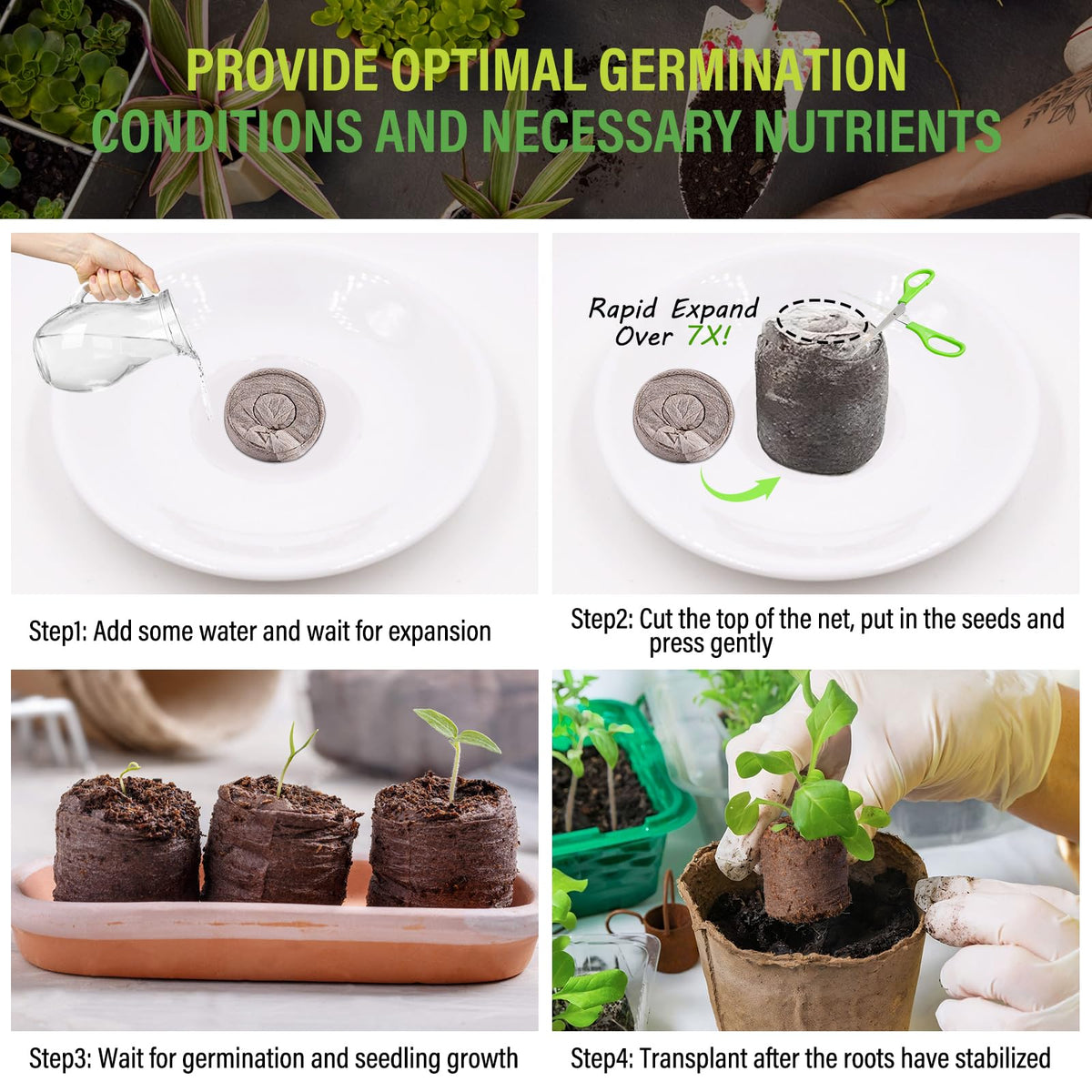 Legigo moisture-rich seedling start maintains essential humidity