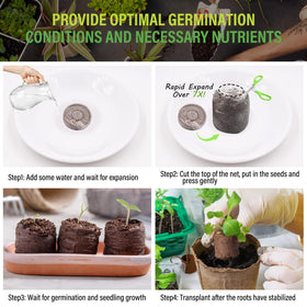 Legigo moisture-rich seedling start maintains essential humidity