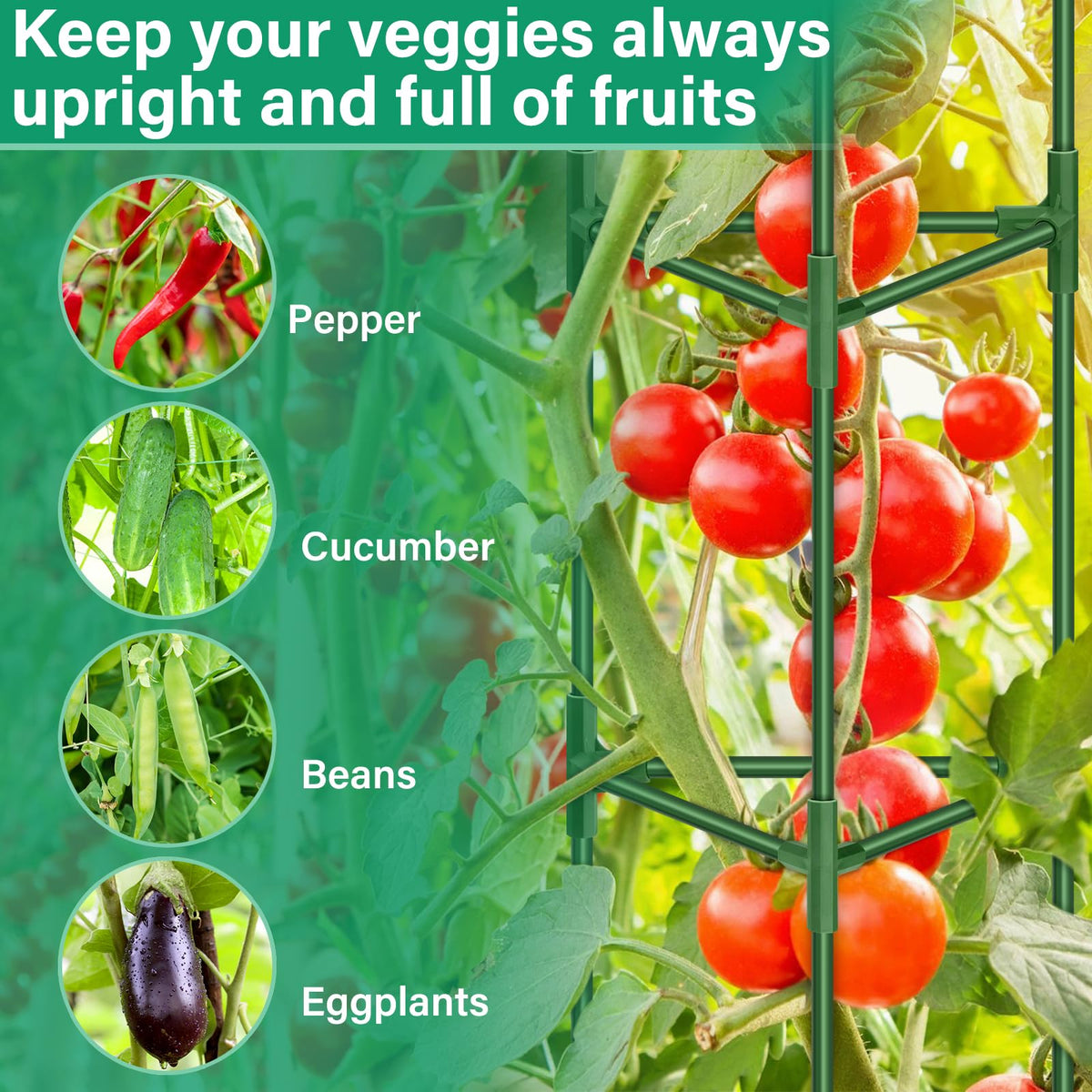Legigo multi-crop climbing trellis supports cucumbers, beans, and peppers with improved airflow.