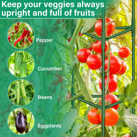 Legigo multi-crop climbing trellis supports cucumbers, beans, and peppers with improved airflow.