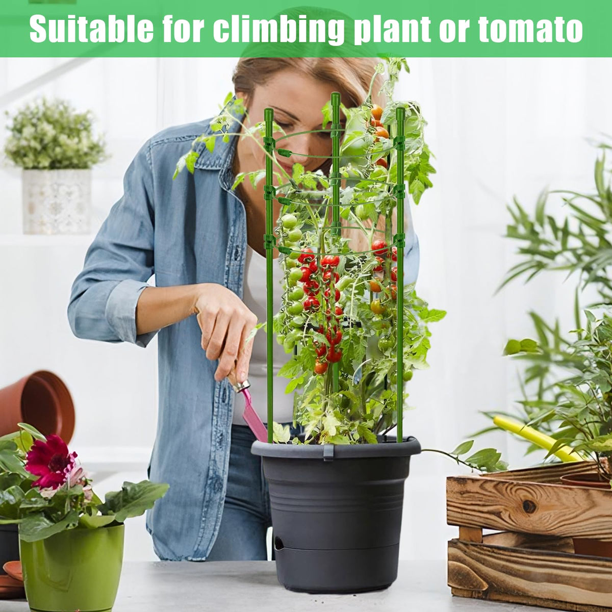 Legigo open interior aids pruning and harvest with easy access