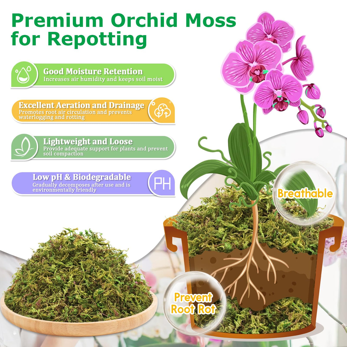 Legigo orchid moss around roots aids gentle repotting and aeration