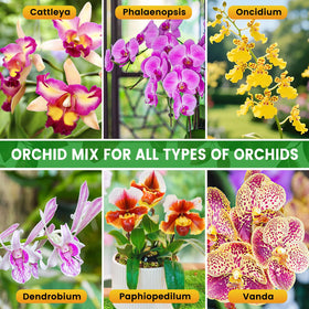 Legigo orchid potting mix bloom support closeup idea