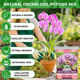 Legigo orchid potting mix root growth closeup with airy texture