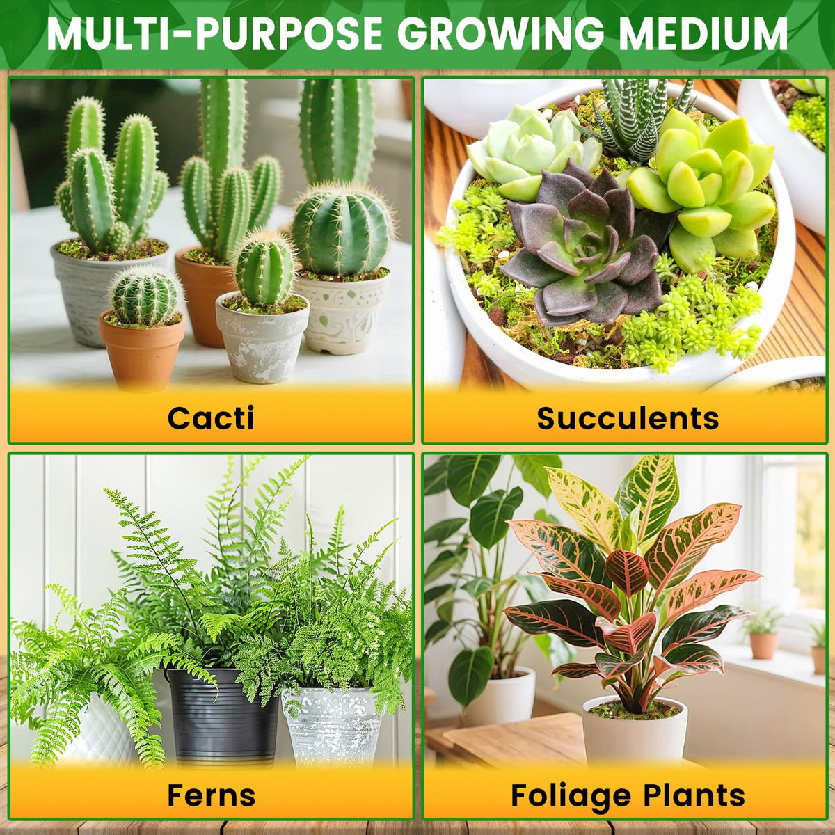 Legigo orchid potting mix sealed packaging for storage