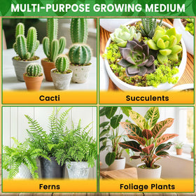 Legigo orchid potting mix sealed packaging for storage