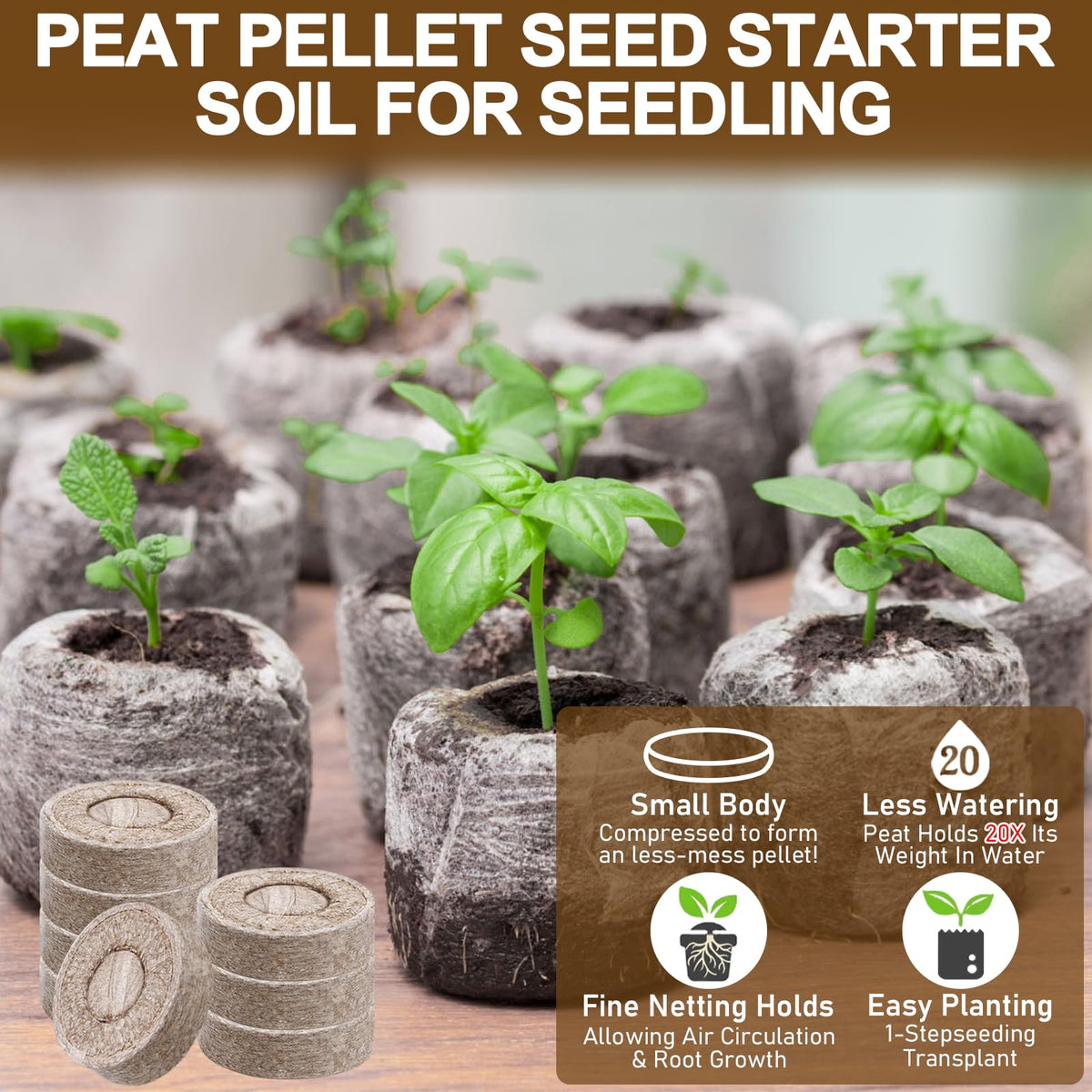 Legigo peat pellet close-up showing expansion and moisture retention
