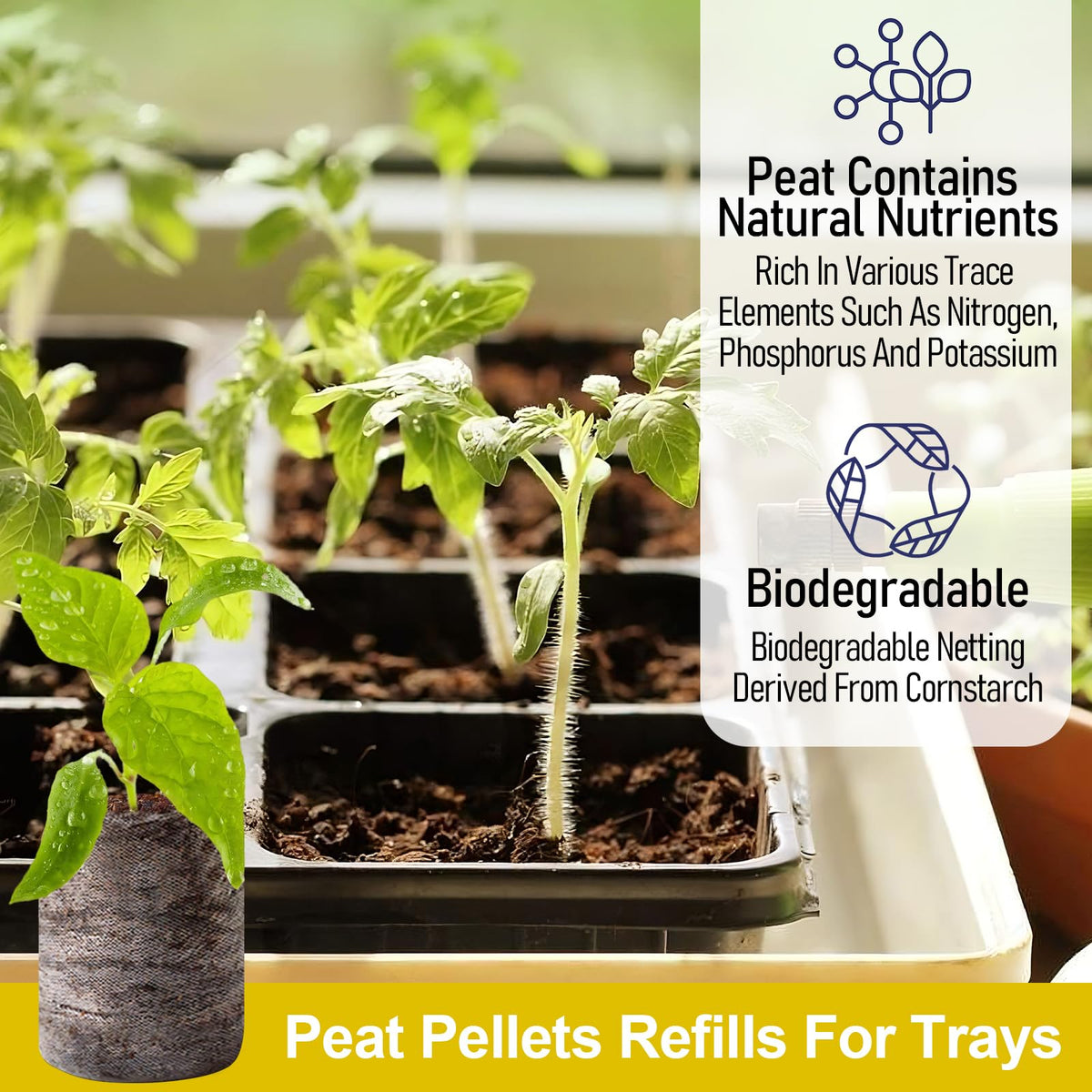 Legigo peat pellets 0.47-inch height after soaking