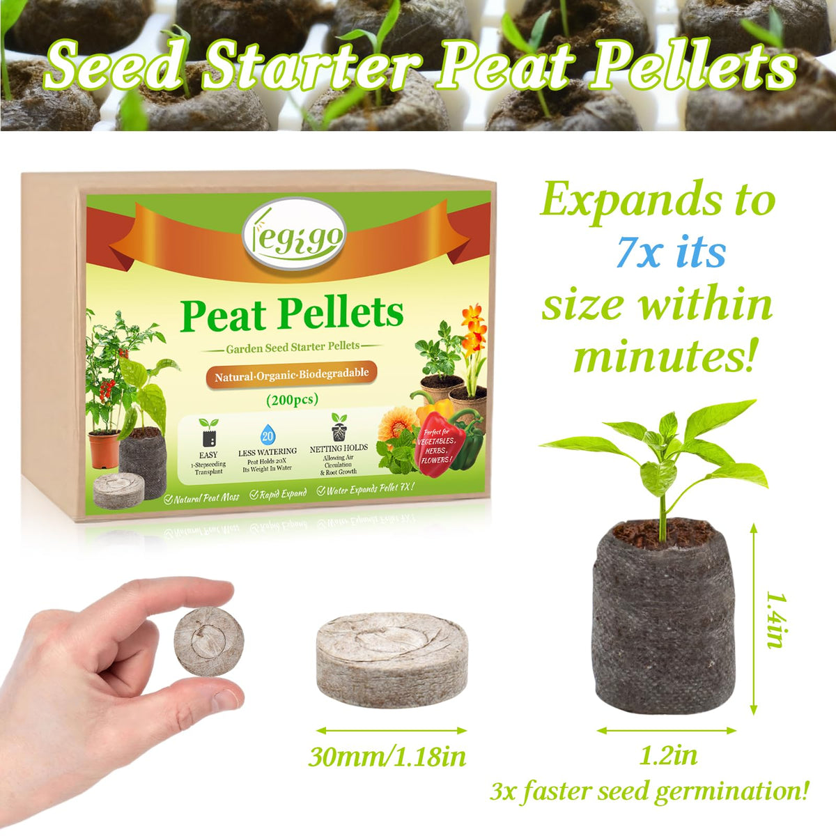Legigo peat pellets expand with water to form ready-to-use planting pots.