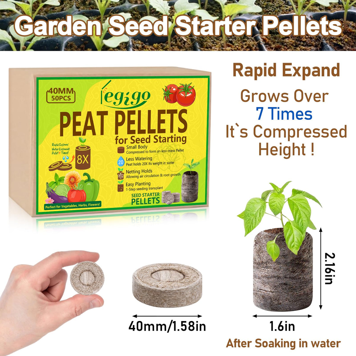 Legigo peat pellets expanding in water, showcasing easy activation for seedlings.
