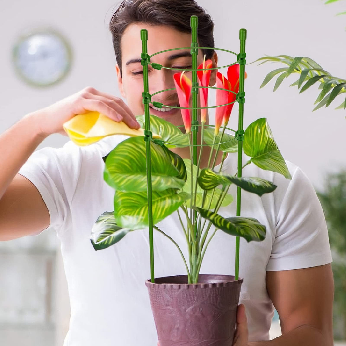 Legigo 30-inch cages fit pots and garden beds for versatility.