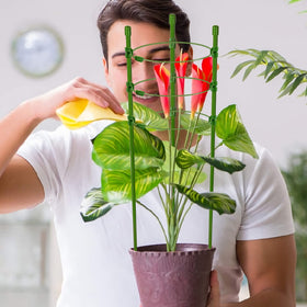 Legigo 30-inch cages fit pots and garden beds for versatility.