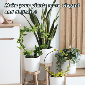 Legigo plug-and-play-footed-round trellis simplifies setup indoors or outdoors.