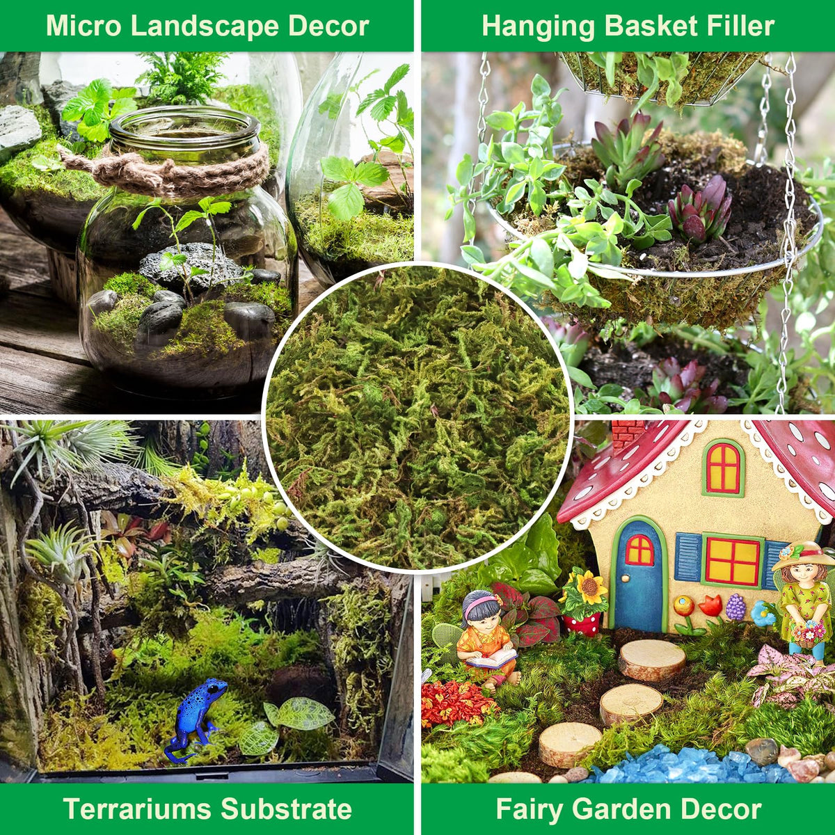 Legigo reptile bedding moss provides a moist, comfortable substrate