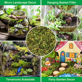 Legigo reptile bedding moss provides a moist, comfortable substrate
