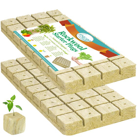 Legigo rockwool cubes display showing seed plugs for quick germination.