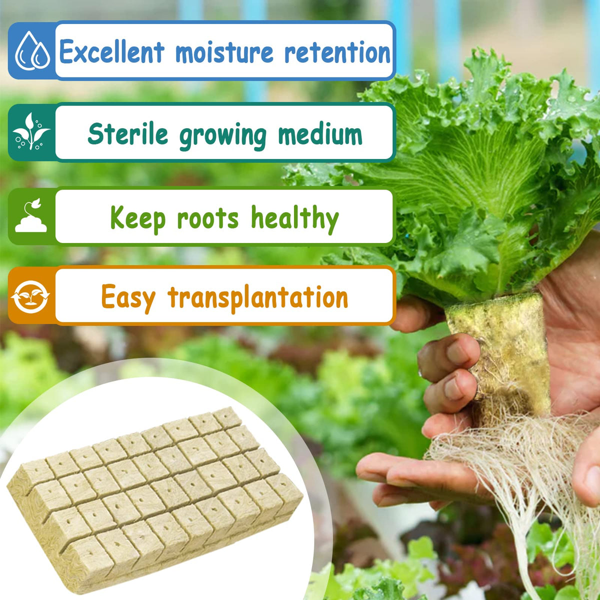 Legigo rockwool cubes texture closeup highlights breathable root environment.