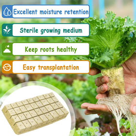 Legigo rockwool cubes texture closeup highlights breathable root environment.