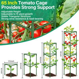 Legigo rust-proof coating makes outdoor tomato cages durable across seasons.