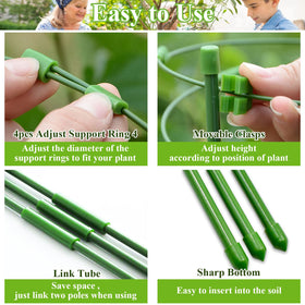 Legigo triangular frame keeps plants upright and tidy through growth.