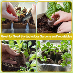 Legigo seed pellets compatible with 1020 trays for seed starting