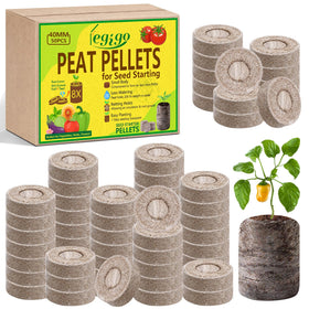Legigo seed pellets 40mm pack close-up, ideal for quick germination prep.