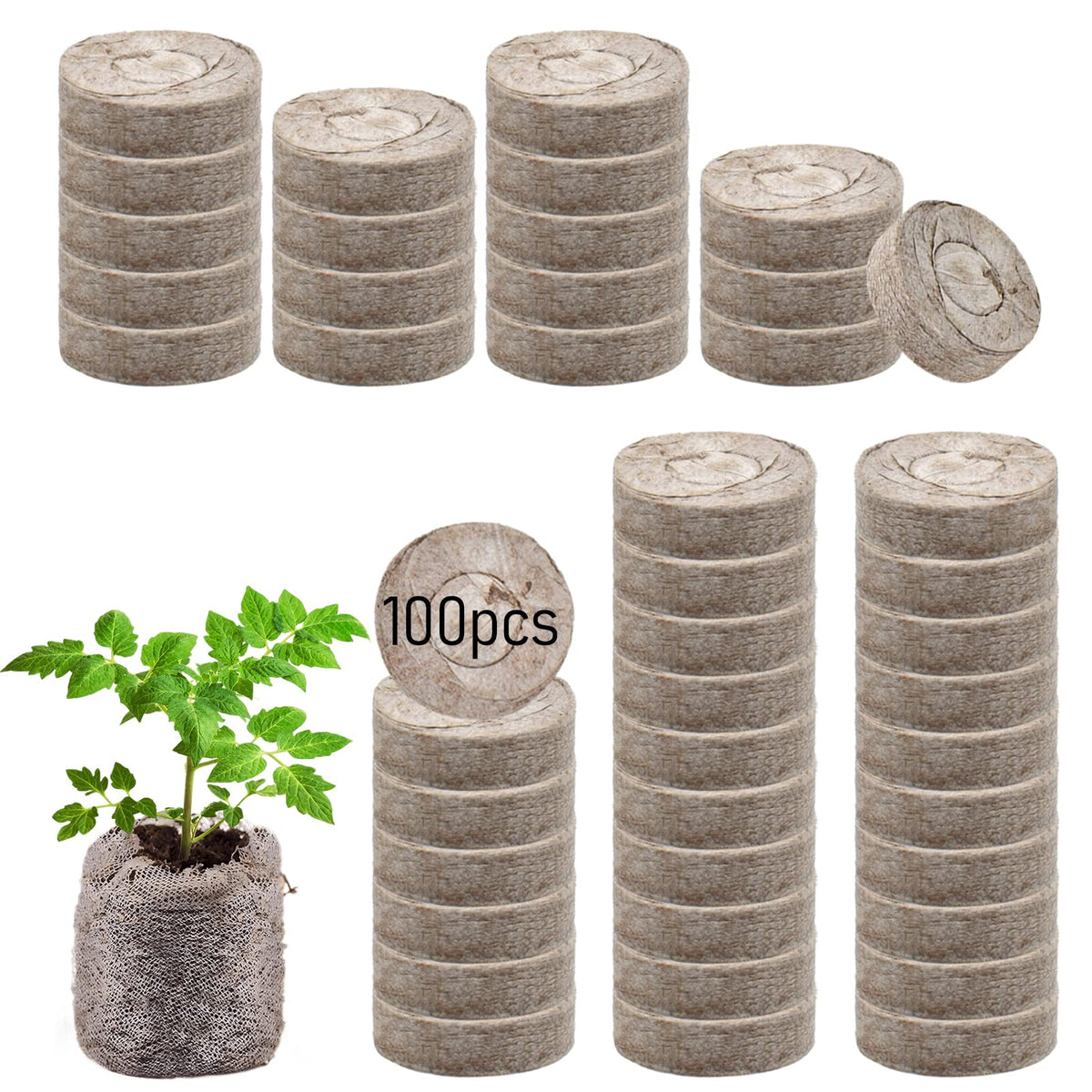 Legigo seed pellets suitable for indoor or outdoor projects