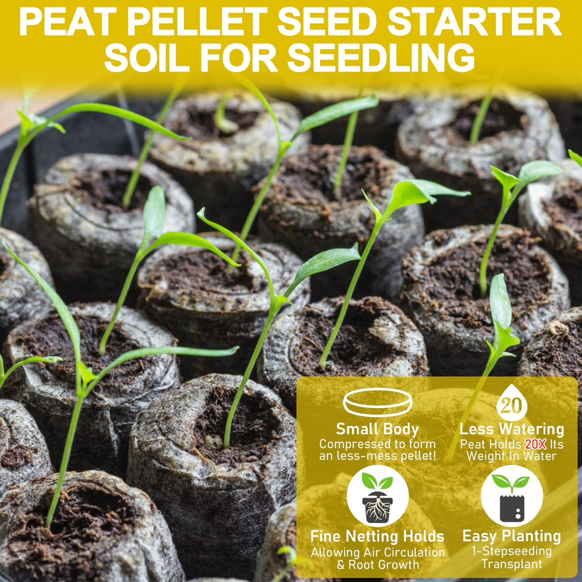 Legigo seed pellets in use with seedlings promoting growth