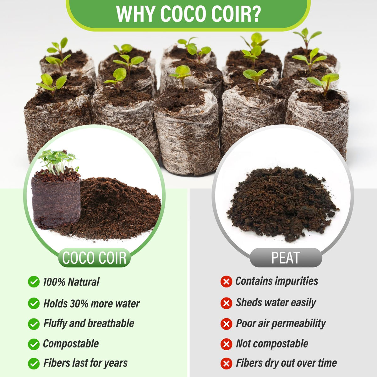 Legigo seed-starter pod tube supports roots during gentle transplanting