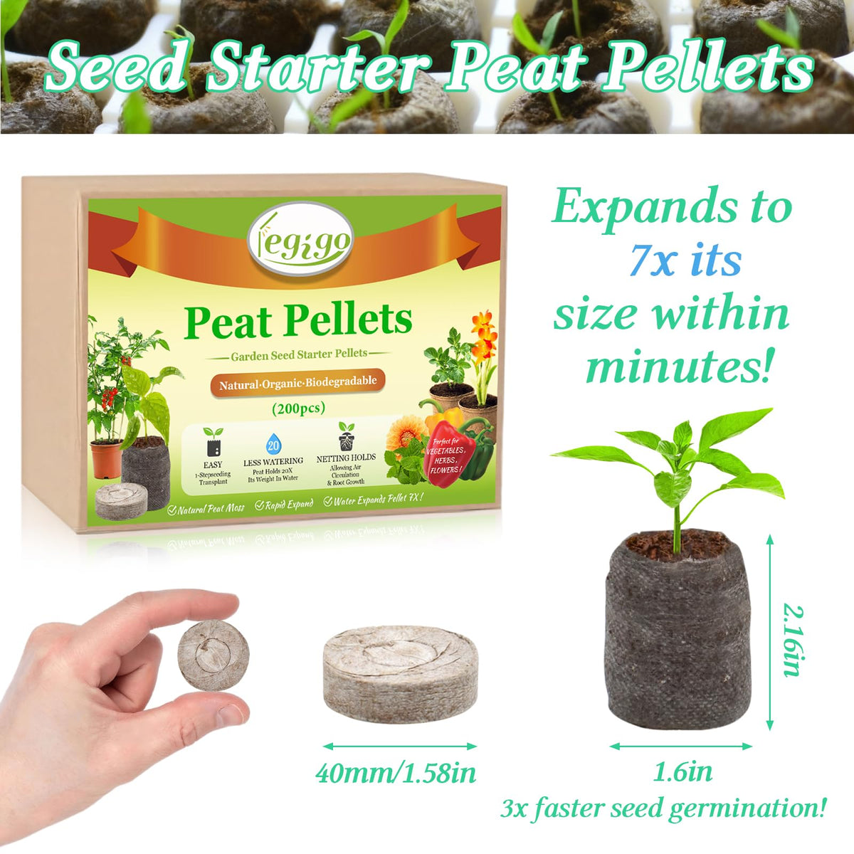 Legigo seed starter pods in seed tray showing easy planting and transplant readiness.