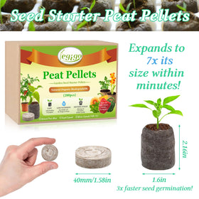 Legigo seed starter pods in seed tray showing easy planting and transplant readiness.