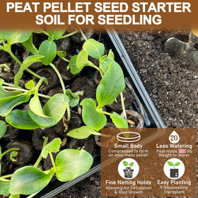 Legigo seed starter setup process with seeds placed in pellets for germination.