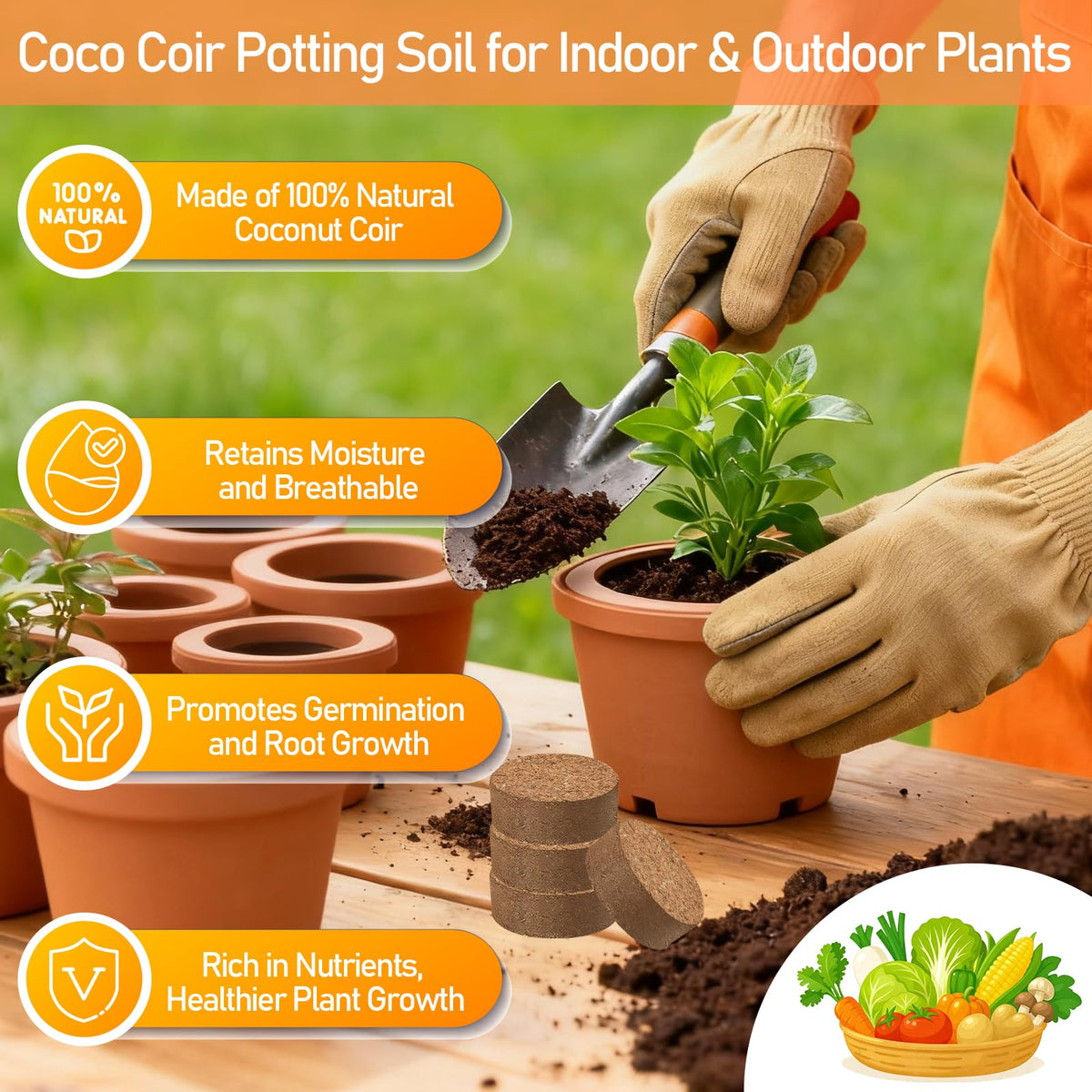 Legigo easy-water activation with seed-starting trays for quick, clean planting.