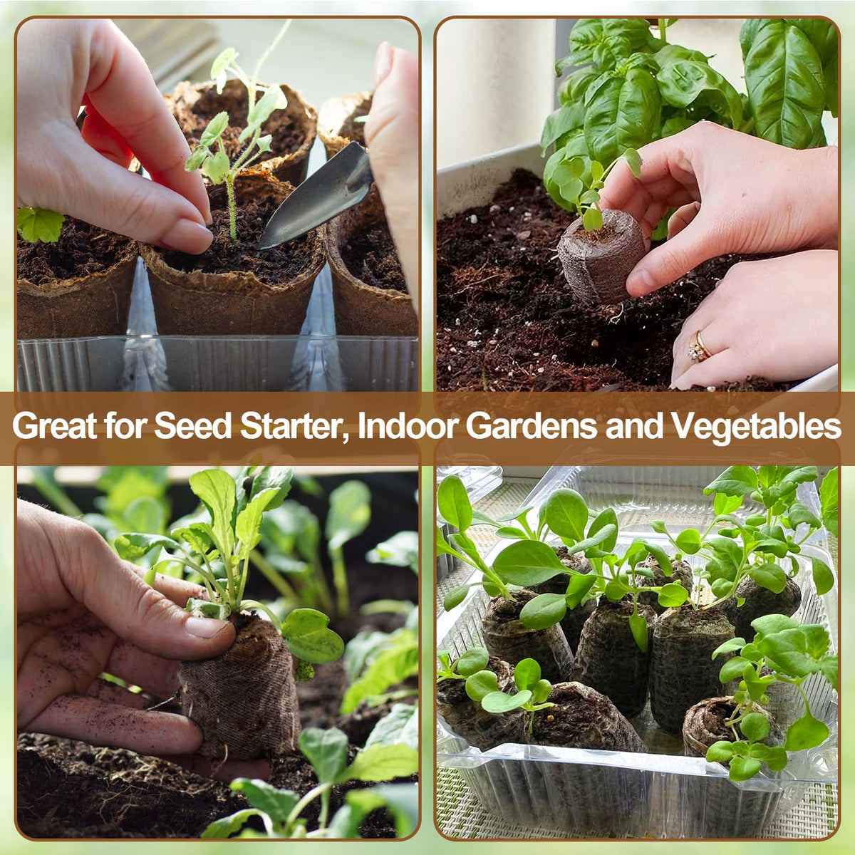 Legigo seedling growth with pellets replacing soil, improved aeration and water retention.