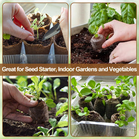 Legigo seedling growth with pellets replacing soil, improved aeration and water retention.