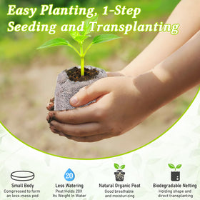 Legigo seedling pods wrapped in biodegradable mesh allow roots to grow freely.