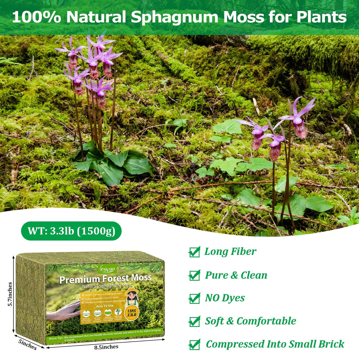 Legigo sphagnum moss brick expands to fluffy texture for moisture retention