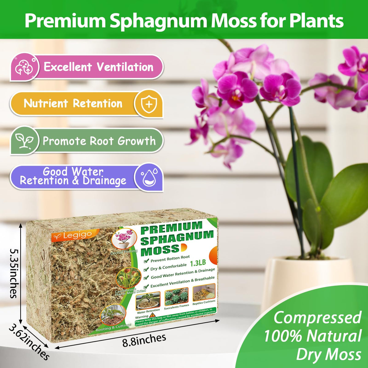 Legigo sphagnum moss in vase showing hydroponic rooting benefits