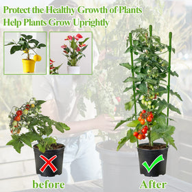 Legigo sturdy steel stakes with rust-resistant coating endure windy garden days.