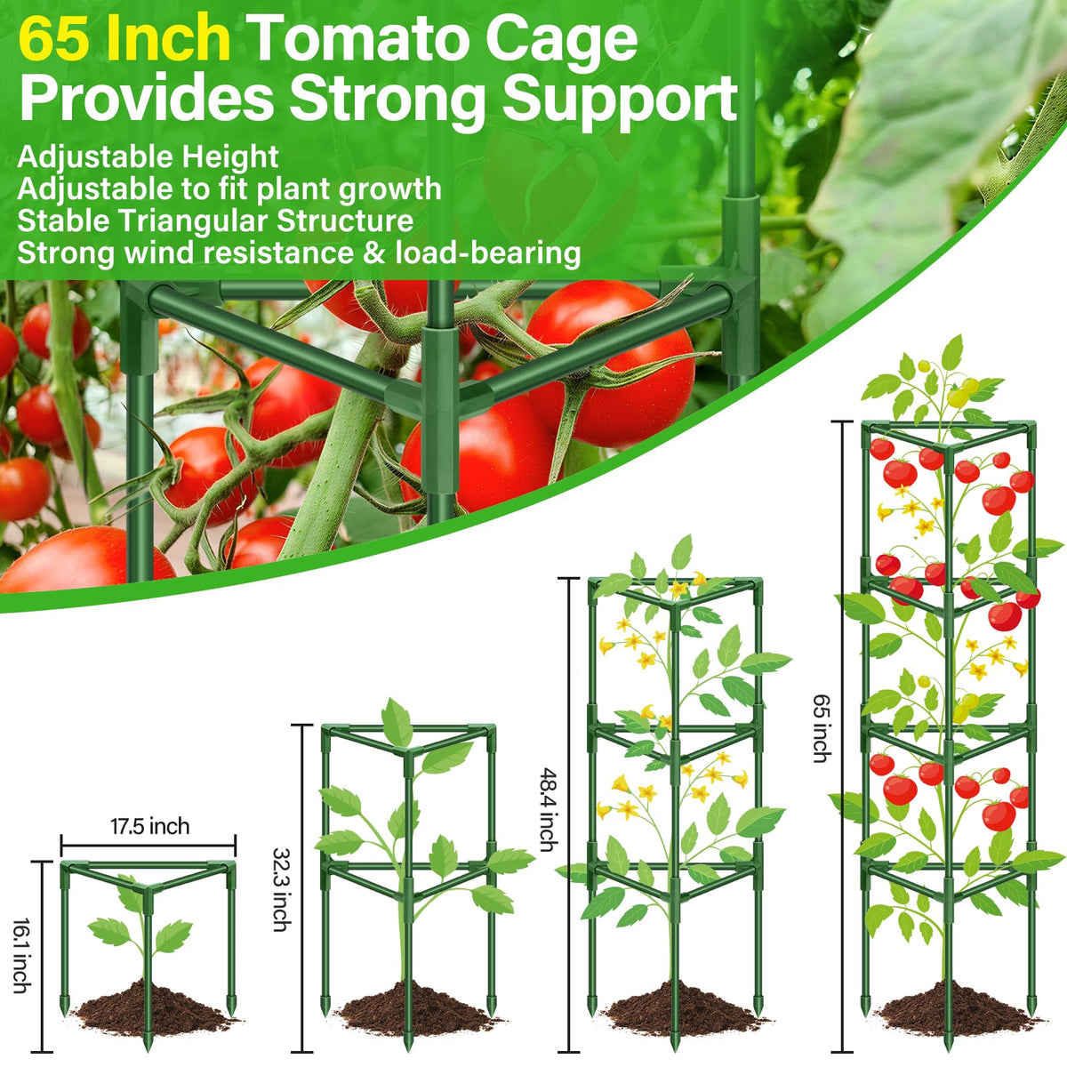 Legigo triangular-frame stability demonstrates wind-resistance and anti-collapse design for tall plants