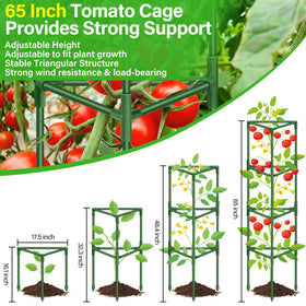 Legigo triangular-frame stability demonstrates wind-resistance and anti-collapse design for tall plants