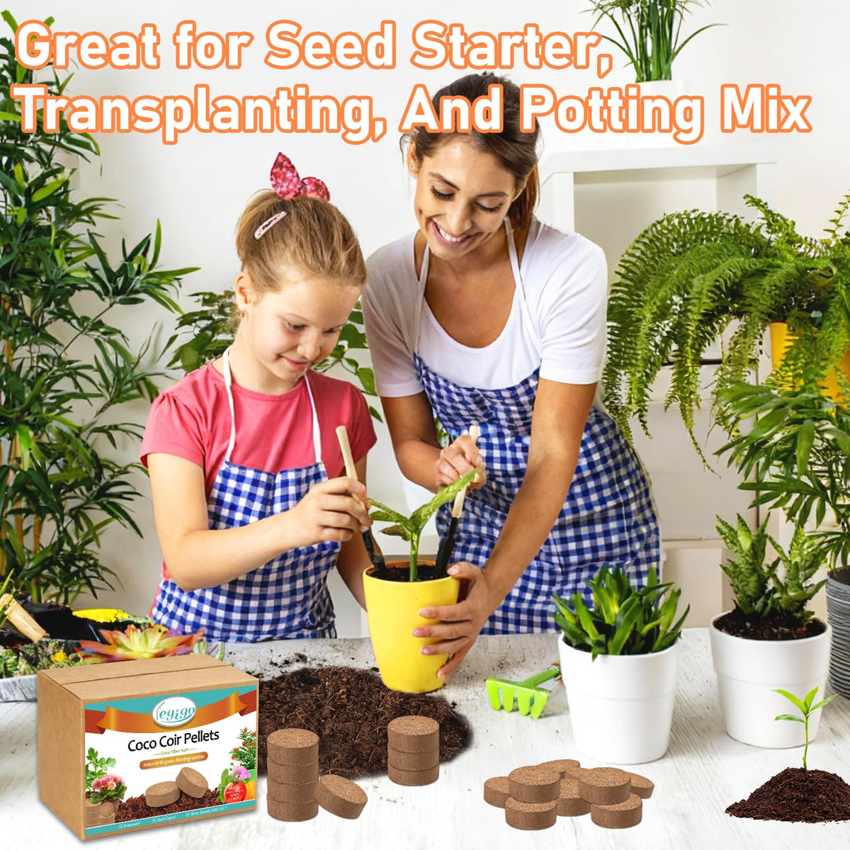 Legigo compact, lightweight alternative to traditional potting soil supports easy storage.